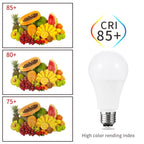 LED Light Bulbs – Energy Efficient E27 E14 Lamps for Home Interior Lighting
