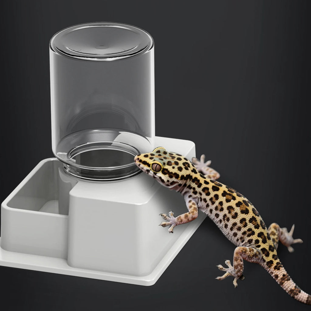 Automatic Reptile Water Dish – Decorative Feeder for Snakes Tortoise Geckos