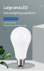 LED Light Bulbs – Energy Efficient E27 E14 Lamps for Home Interior Lighting