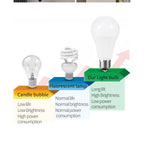 LED Light Bulbs – Energy Efficient E27 E14 Lamps for Home Interior Lighting