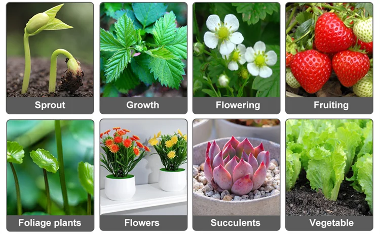 LED Clip Grow Light – Full Spectrum Lamp for Indoor Plant Seed Starting