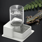 Automatic Reptile Water Dish – Decorative Feeder for Snakes Tortoise Geckos