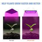 Full Spectrum LED Grow Light – Quantum Board for Indoor Plant Hydroponics