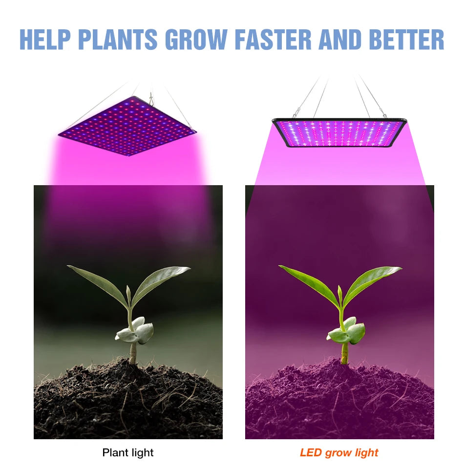Full Spectrum LED Grow Light – Quantum Board for Indoor Plant Hydroponics