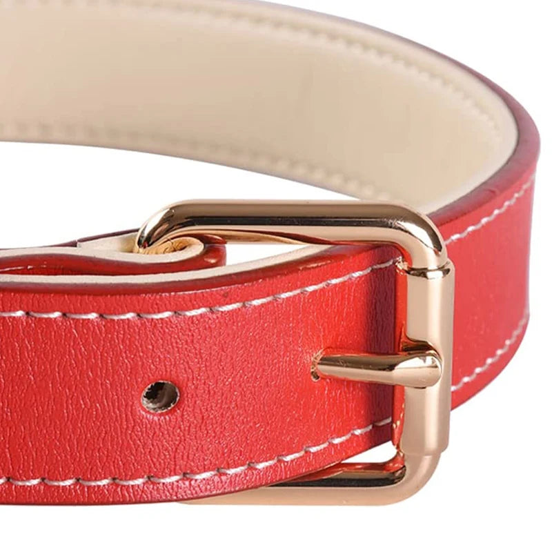 Genuine Leather Dog Collar – Soft Padded Pet Accessory for All Breed Sizes