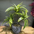 Artificial Palm Bamboo Branch – 36cm Tropical Potted Plant for Home Decor