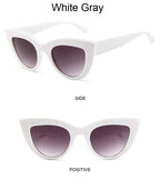 Retro Cat Eye Sunglasses – Oversized Plastic Frames for Women Fashion
