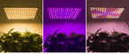 Full Spectrum LED Grow Light – Quantum Board for Indoor Plant Hydroponics