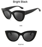 Retro Cat Eye Sunglasses – Oversized Plastic Frames for Women Fashion