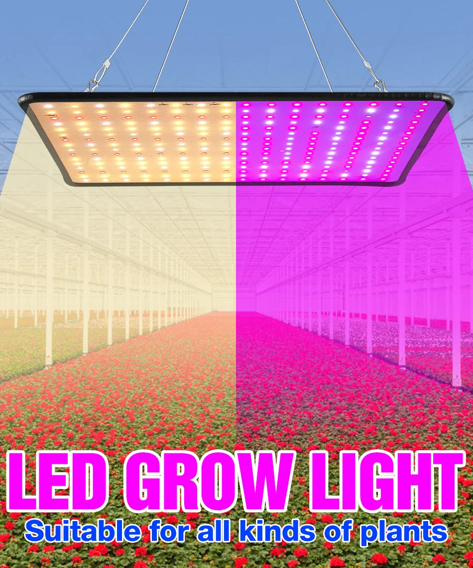 Full Spectrum LED Grow Light – Quantum Board for Indoor Plant Hydroponics