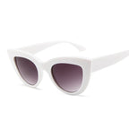 Retro Cat Eye Sunglasses – Oversized Plastic Frames for Women Fashion