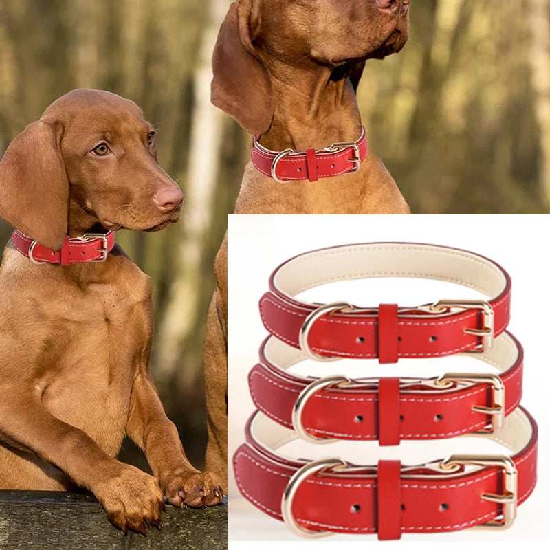 Genuine Leather Dog Collar – Soft Padded Pet Accessory for All Breed Sizes
