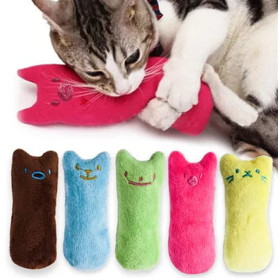 Interactive Catnip Plush Toy – Vocal Chewing Teether for Kitten Play