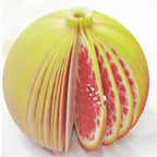 Fruit Shape Sticky Notes – Creative Paper Memo Pads for School Office Supplies