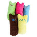 Interactive Catnip Plush Toy – Vocal Chewing Teether for Kitten Play