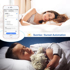 Smart Roller Shutter Switch – Voice Control for Automated Home Blinds