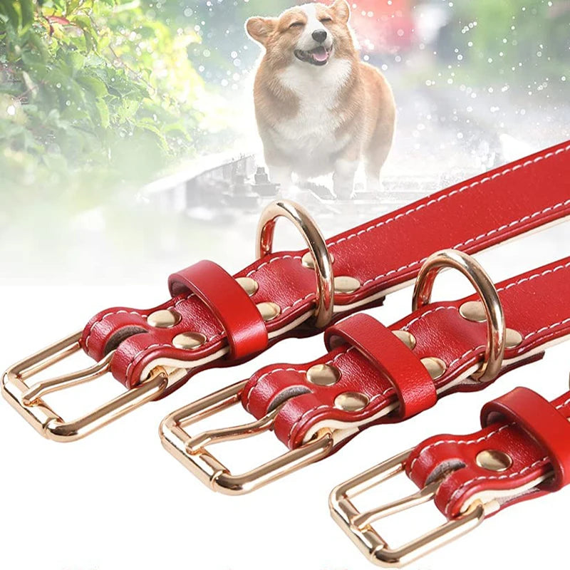 Genuine Leather Dog Collar – Soft Padded Pet Accessory for All Breed Sizes