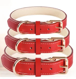 Genuine Leather Dog Collar – Soft Padded Pet Accessory for All Breed Sizes