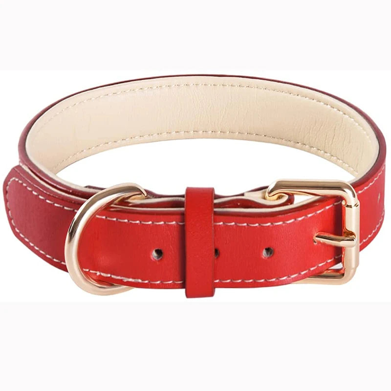 Genuine Leather Dog Collar – Soft Padded Pet Accessory for All Breed Sizes