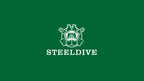 Steeldive NH35 Automatic Dive Watch – 200M Waterproof Turtle for Scuba Diving