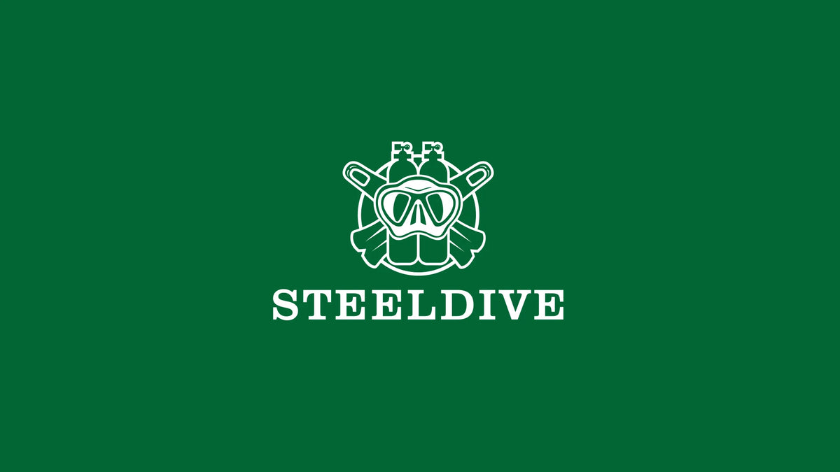 Steeldive NH35 Automatic Dive Watch – 200M Waterproof Turtle for Scuba Diving