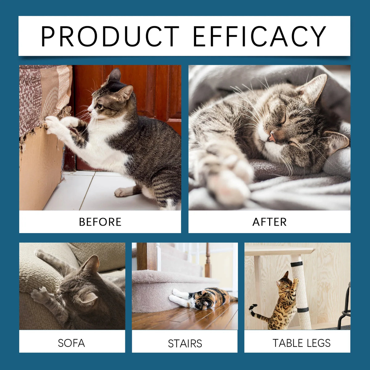 Indoor Cat Repellent Spray – Natural Deterrent for Protecting Home Furniture