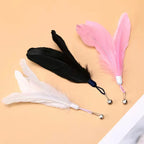 Feather Cat Teaser Wand – Suction Cup Interactive Toy for Indoor Exercise