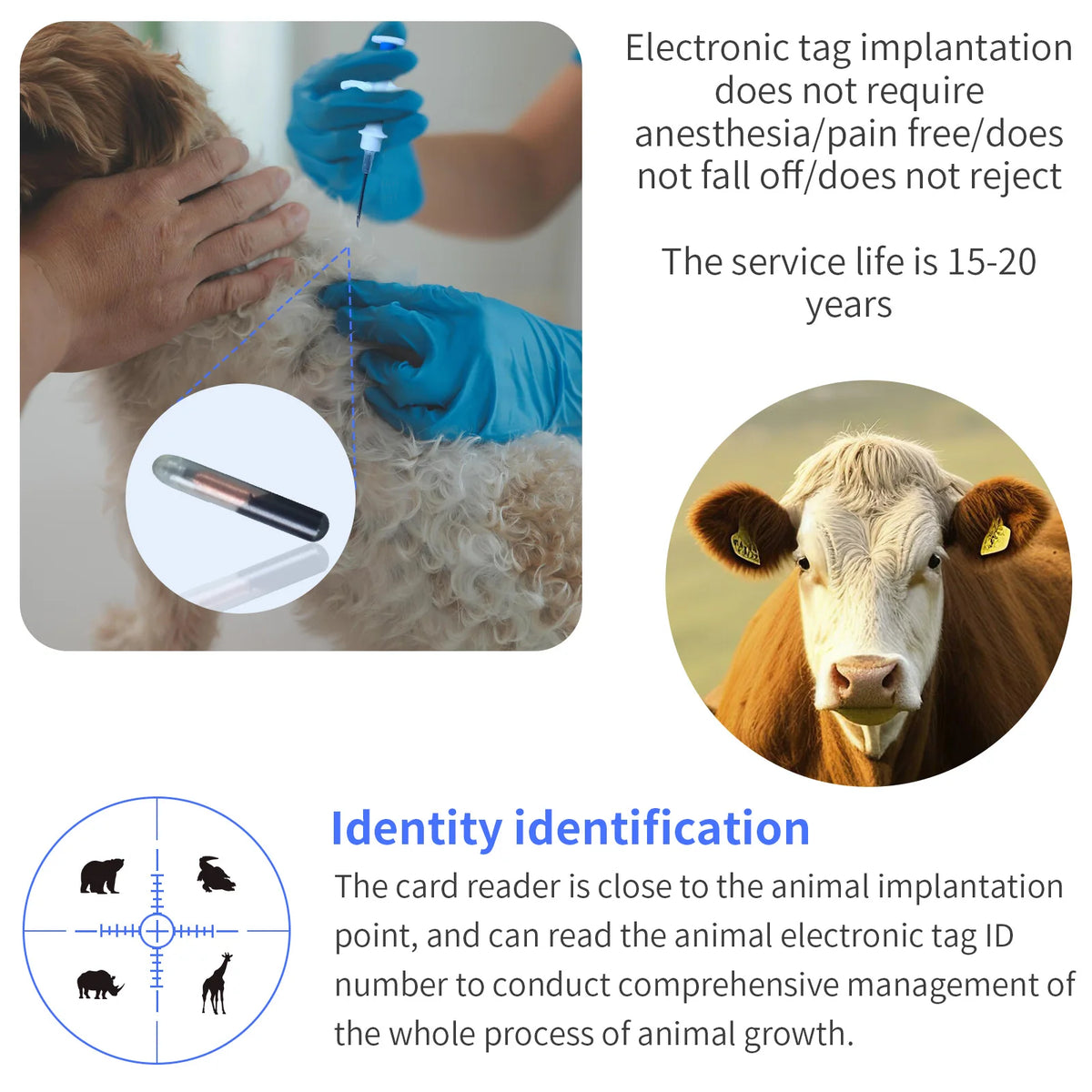 RFID Pet Microchip Syringe – 134.2KHz FDX-B ID Tag for Dogs Cats and Horses