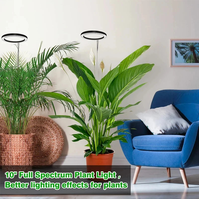 LED Ring Grow Light – 165cm Adjustable Full Spectrum Lamp for Indoor Plants