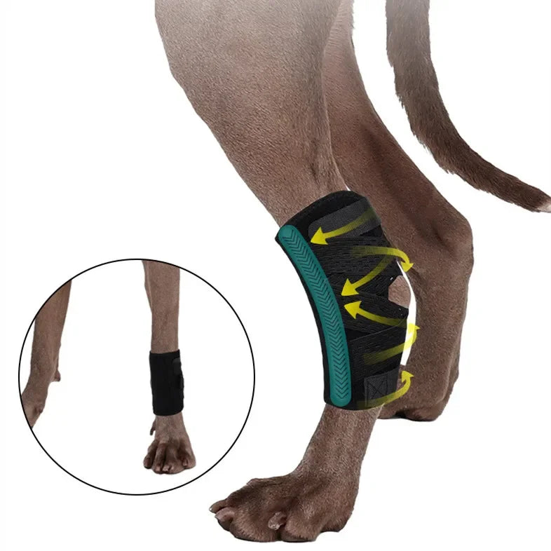 Dog Leg Joint Brace – Orthopedic Support for Arthritis Recovery