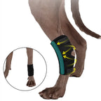 Dog Leg Joint Brace – Orthopedic Support for Arthritis Recovery