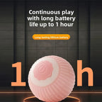 Interactive Automatic Cat Ball – Smart Motion Sensor Toy for Indoor Pet Play