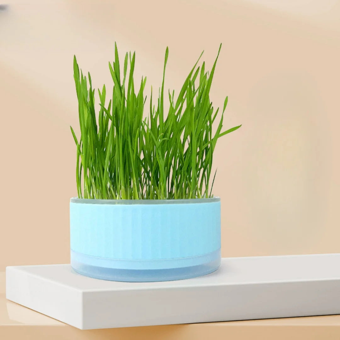 Plastic Cat Grass Planter – Convenient Pet Pot for Indoor Gardening