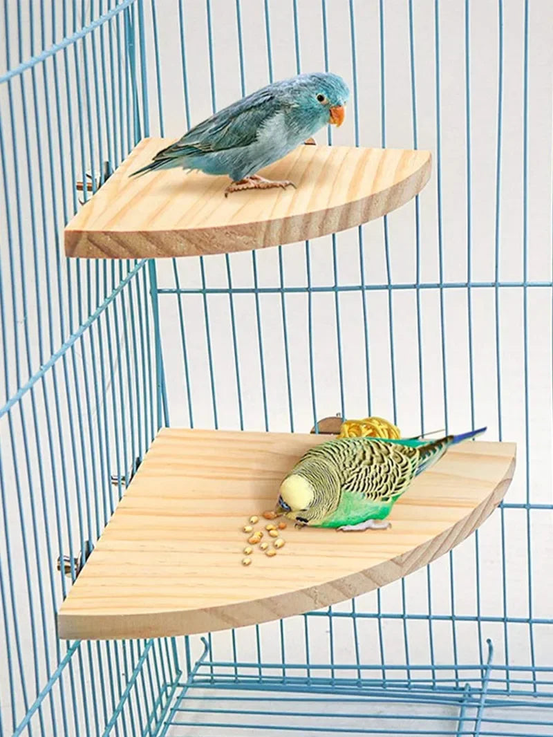 Wooden Fan-Shaped Bird Perch – Natural Stand for Parrot and Small Pets