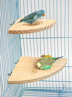 Wooden Fan-Shaped Bird Perch – Natural Stand for Parrot and Small Pets