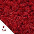 Artificial Moss Grass – 200g Green Fake Plant for DIY Garden Home Decor