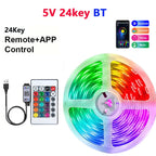 USB RGB LED Strip Light – Color Changing Remote for Holiday Decoration