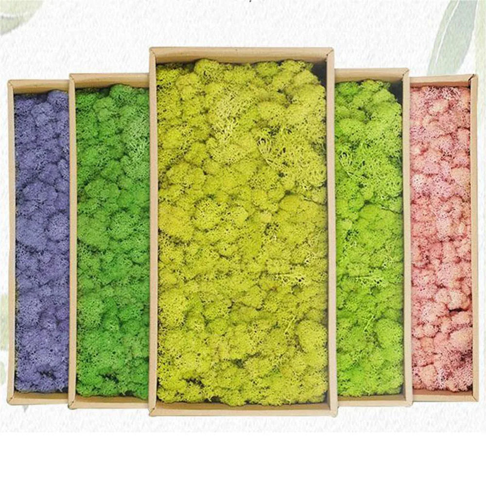 Artificial Moss Grass – 200g Green Fake Plant for DIY Garden Home Decor