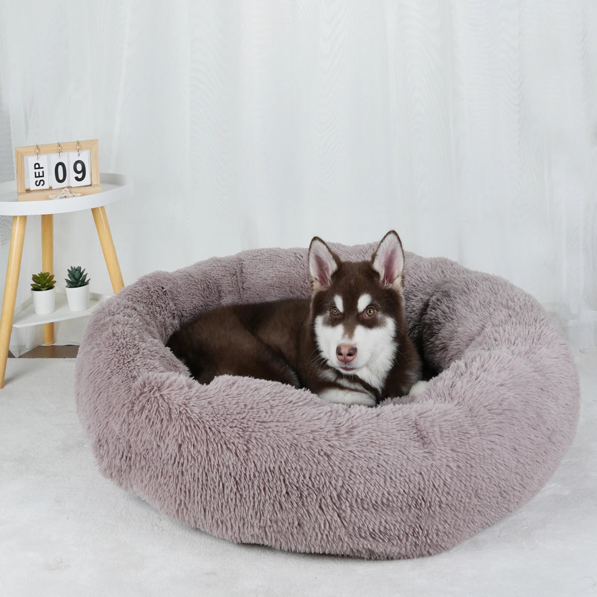 Plush Donut Dog Bed – Large Round Fluffy Kennel for Winter Pet Comfort
