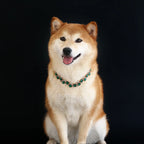 Rhinestone Pearl Pet Collar – Jeweled Dog and Cat Necklace for Weddings