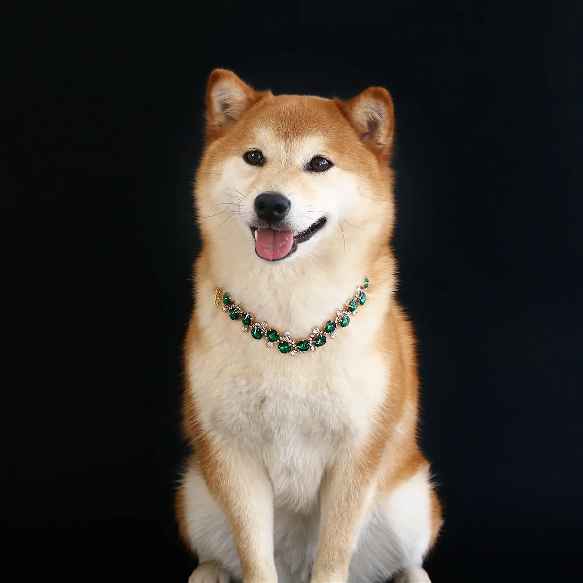 Rhinestone Pearl Pet Collar – Jeweled Dog and Cat Necklace for Weddings