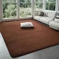 Coral Velvet Area Rug – Soft Rectangular Mat for Living Room and Bedroom