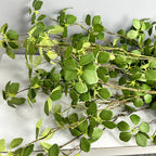 Artificial Green Vine – Realistic Hanging Plant for Home Wedding Decor