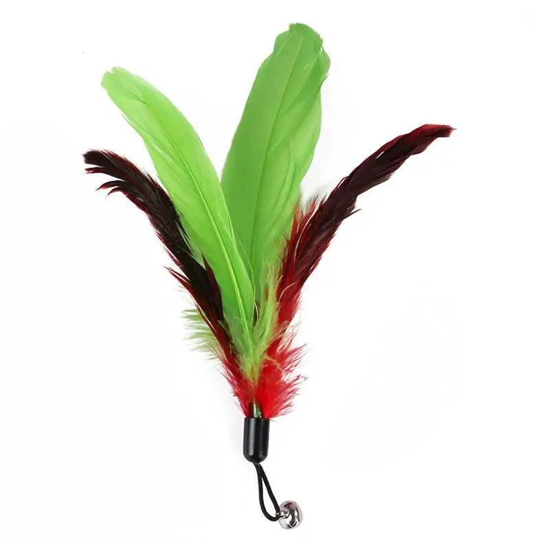 Interactive Cat Feather Toy Set – Retractable Wand for Indoor Pet Play