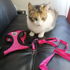 Adjustable Mesh Cat and Dog Harness with Leash – Breathable for Small Pets