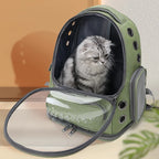 Transparent Pet Carrier Backpack – Breathable Travel Bag for Cats and Dogs