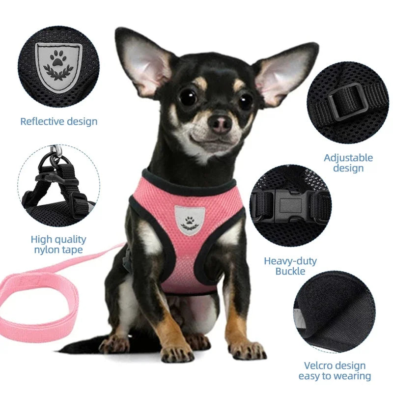 Adjustable Mesh Cat and Dog Harness with Leash – Breathable for Small Pets