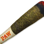 Plush Cigar Dog Toy – Durable Squeaky Chew for Small Breed Puppies