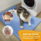 Double Layer Cat Litter Mat – Waterproof Non-Slip Pad for Pet Cleanliness