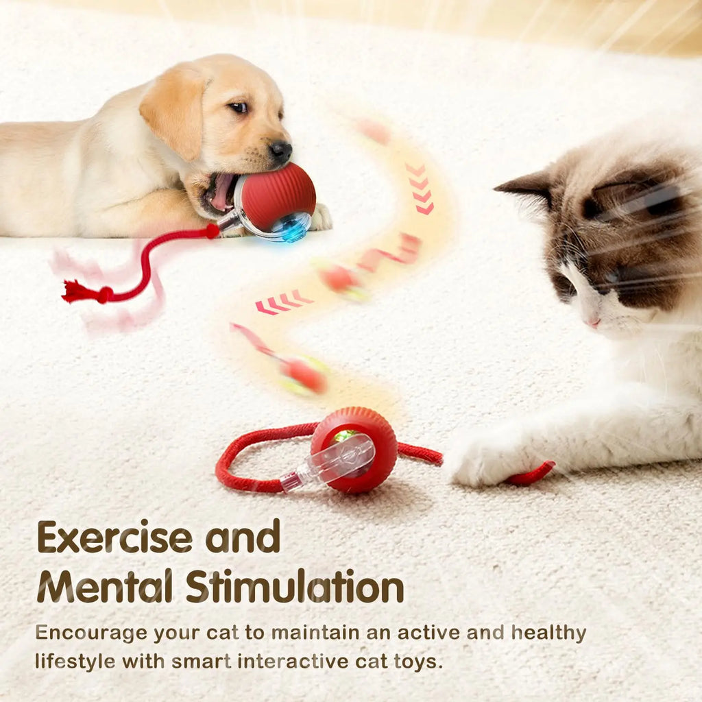 Interactive Rolling Cat Ball – Rechargeable Smart Toy for Pet Exercise